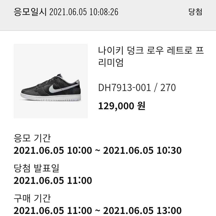 Nike Dunk Low Retro PRM Zebra 착용 스타일 - 3