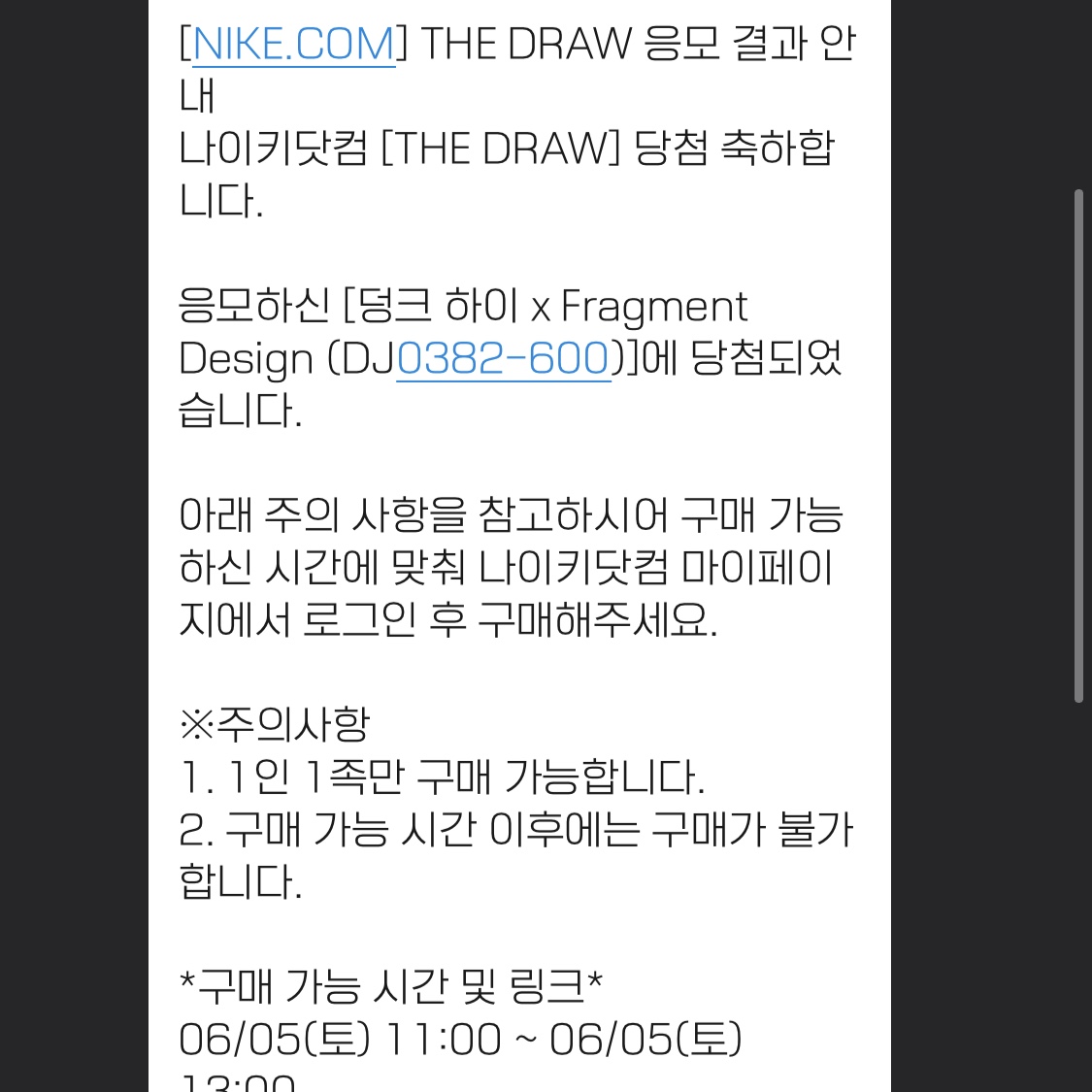 Nike x Fragment Dunk High Black 착용 스타일 - 1