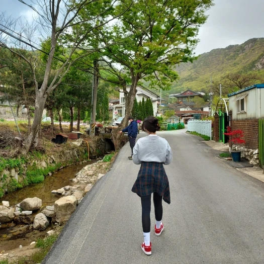 스타일 카드