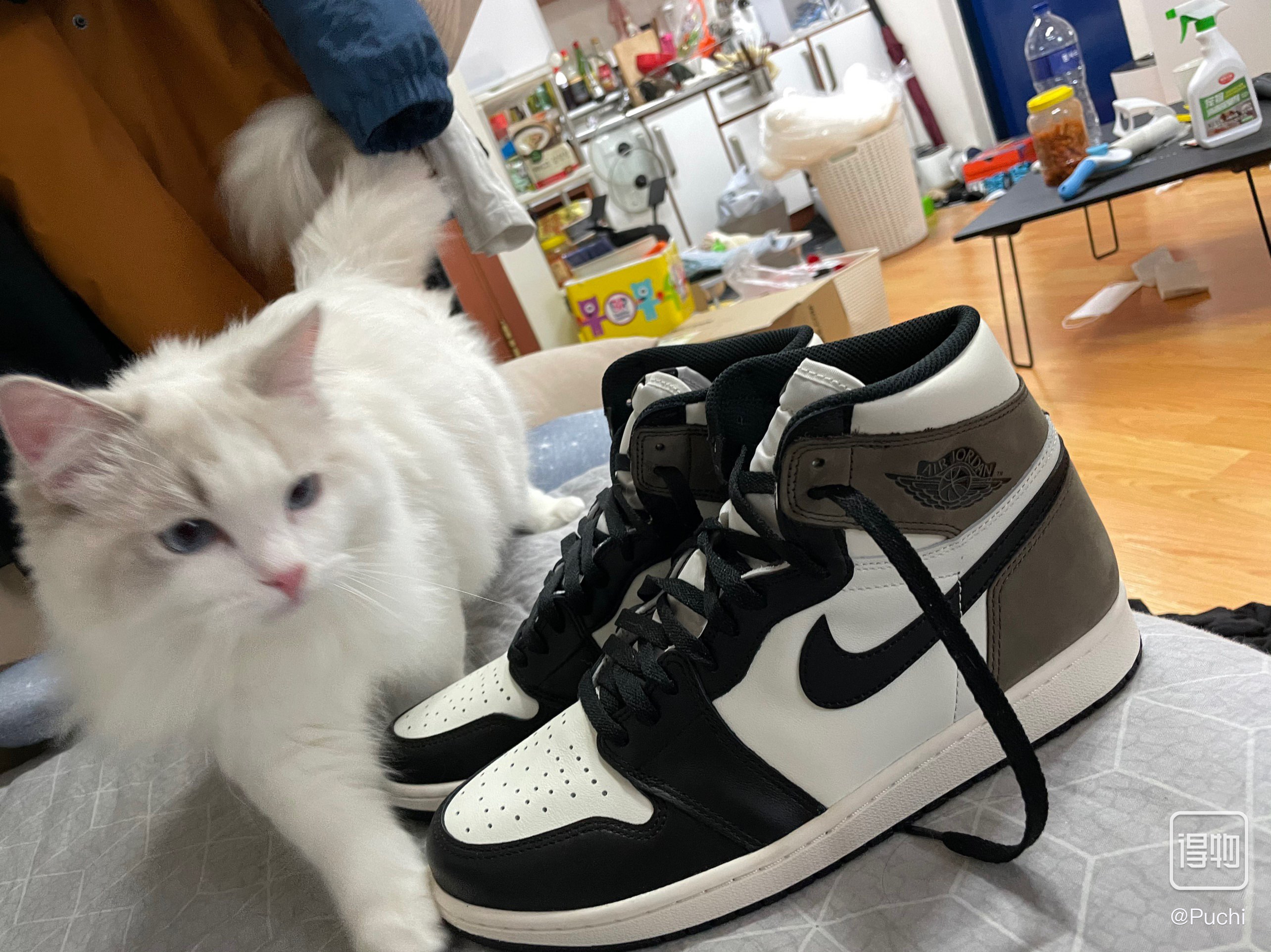 Jordan 1 Retro High OG Black Mocha 착용 스타일
