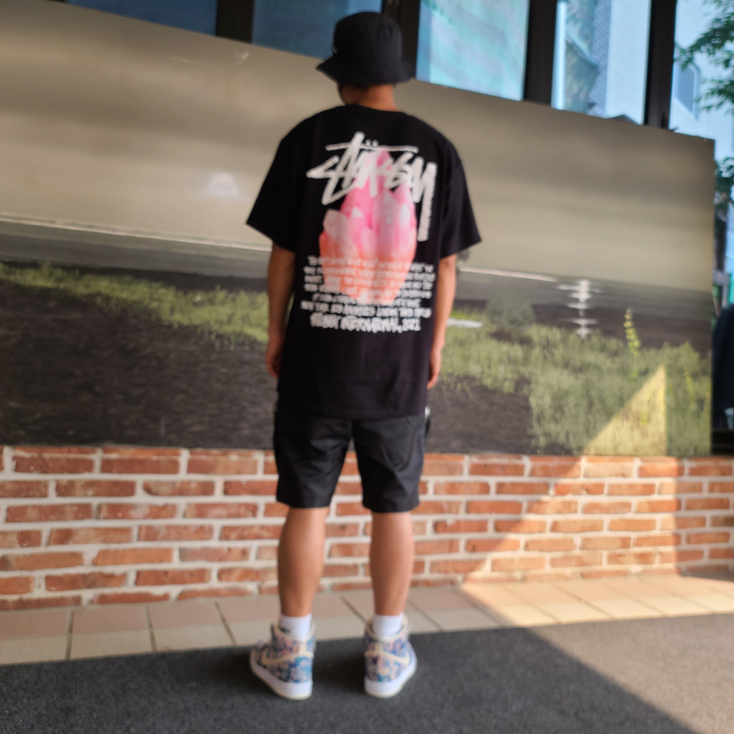Nike SB Dunk High Pro Hawaii, Stussy Reflection T-Shirt Black 착용 스타일 - 2