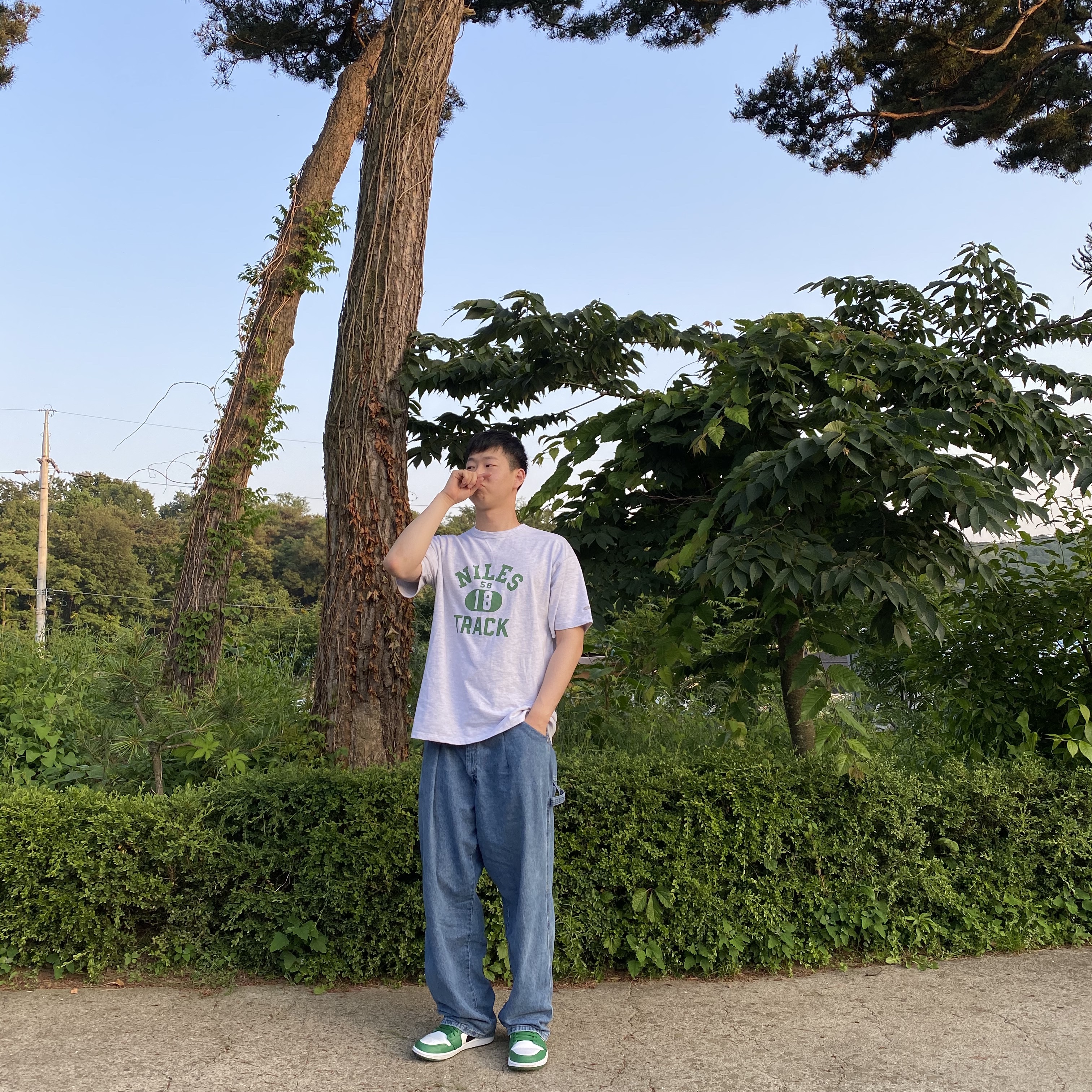 Jordan 1 Low Pine Green 착용 스타일