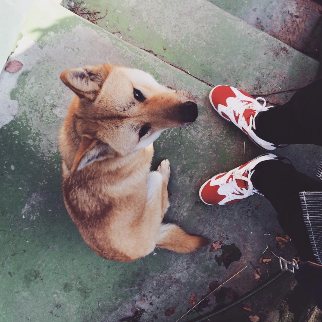 Jordan 6 Retro Carmine 2014 착용 스타일