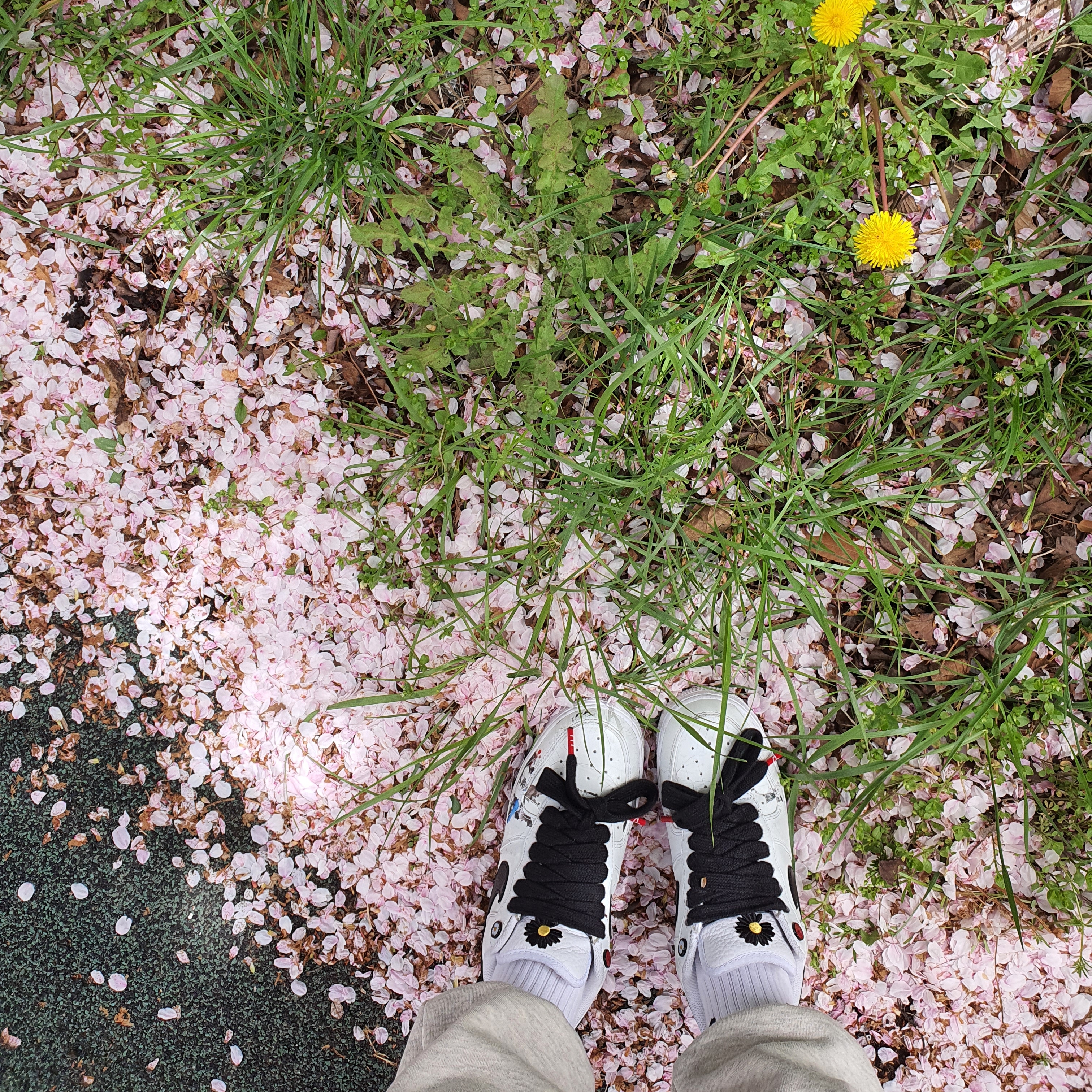 Nike x Peaceminusone Air Force 1 Low Para-Noise 2.0, Maison Kitsune Double Fox Head Patch Classic T-Shirt Latte 착용 스타일 - 3
