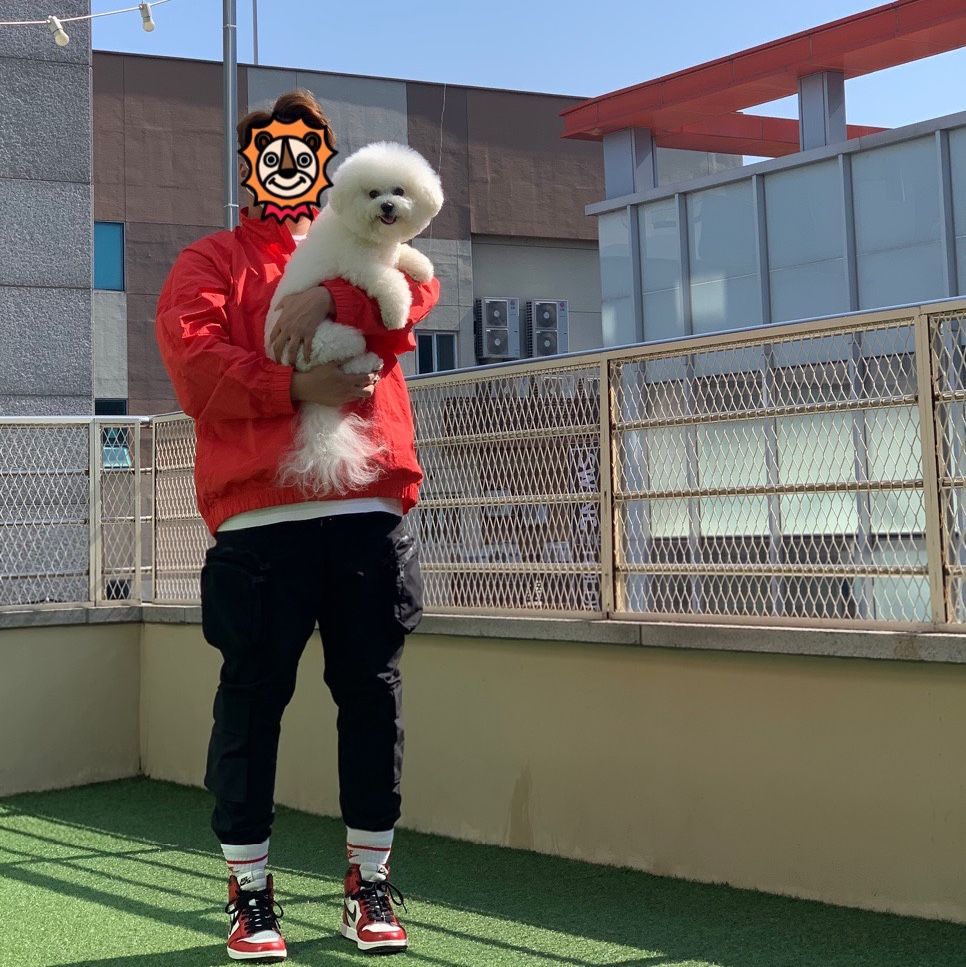Nike x Stussy Windrunner Jacket Habanero Red, Jordan 1 Retro High OG Defiant SB LA to Chicago 착용 스타일