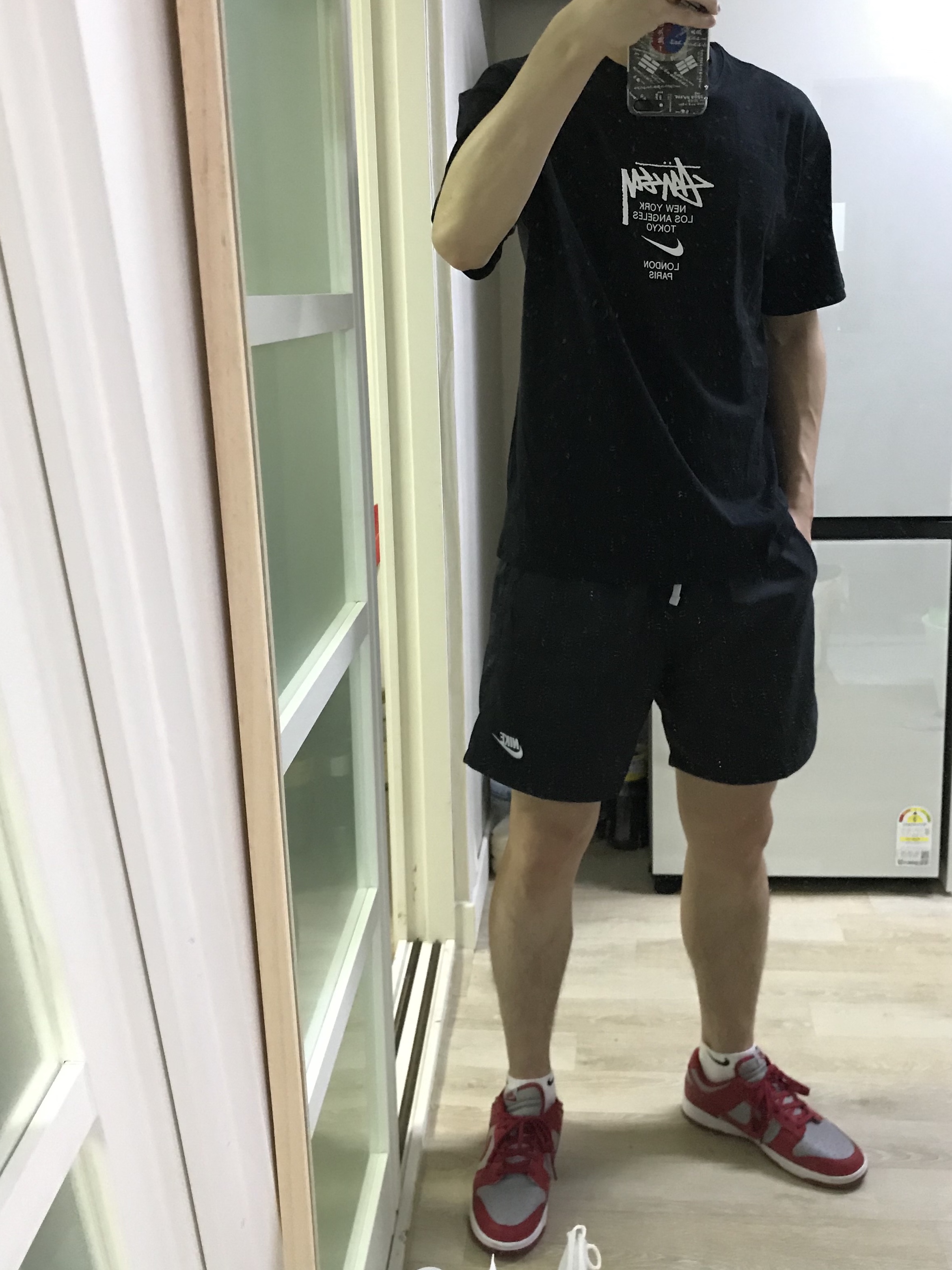 Nike Dunk Low Retro Medium Grey, Nike x Stussy WT T-Shirt Black - Asia 착용 스타일