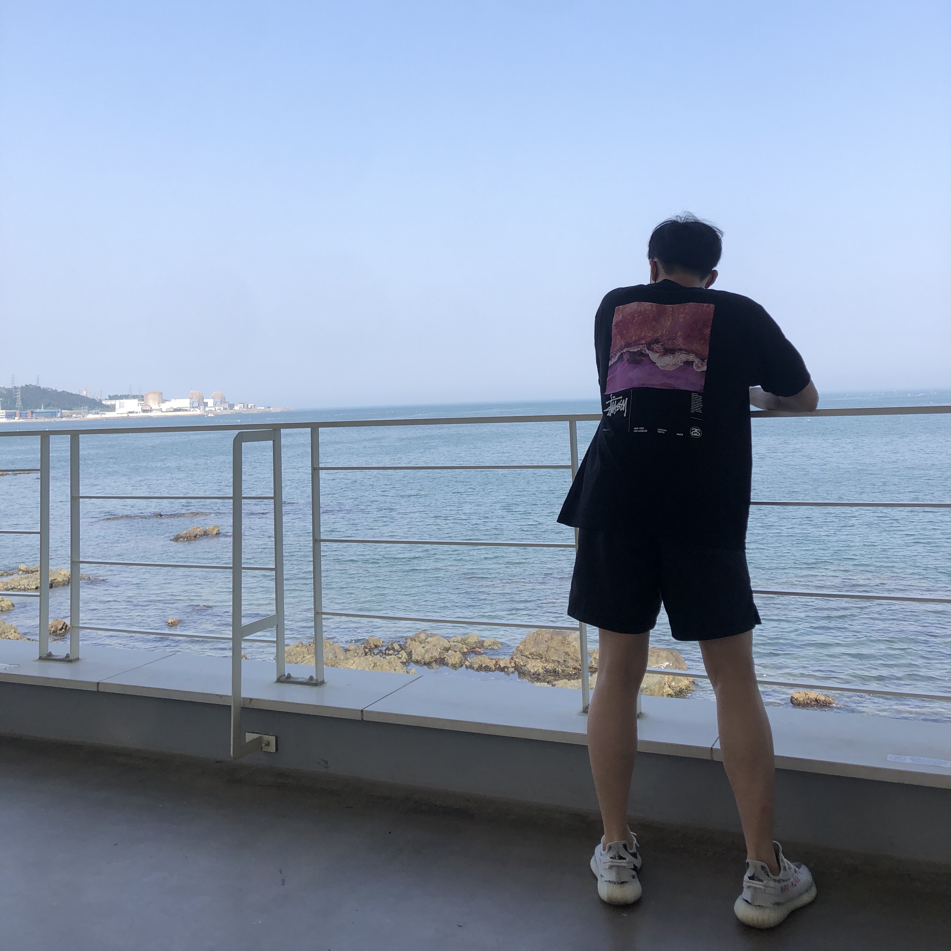 Stussy Ocean Dream T-Shirt Black, Adidas Yeezy Boost 350 V2 Zebra 2017/2019/2020 착용 스타일