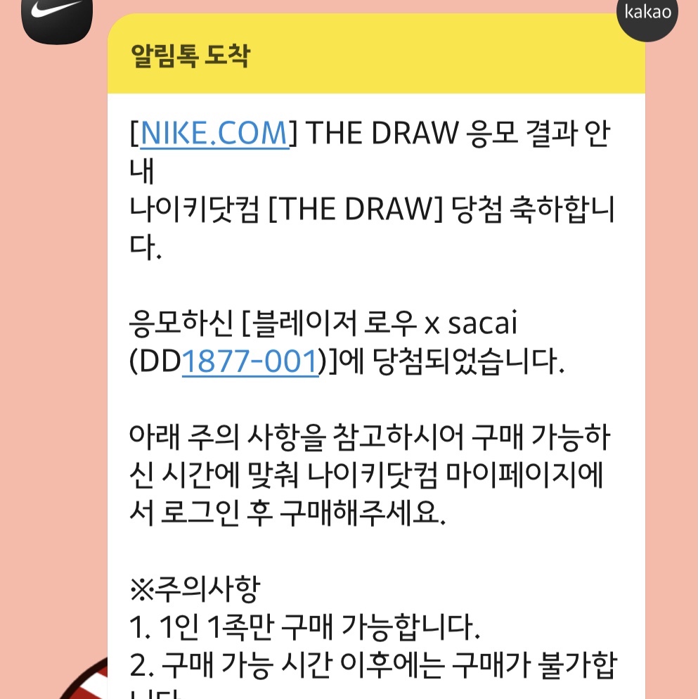Nike x Sacai Blazer Low Classic Green 착용 스타일
