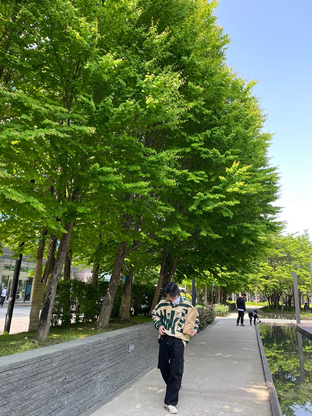 Nike x Cactus Plant Flea Market Long Sleeve Polo Natural - US/EU, Nike x Stussy Air Zoom Spiridon Cage 2 Fossil 착용 스타일