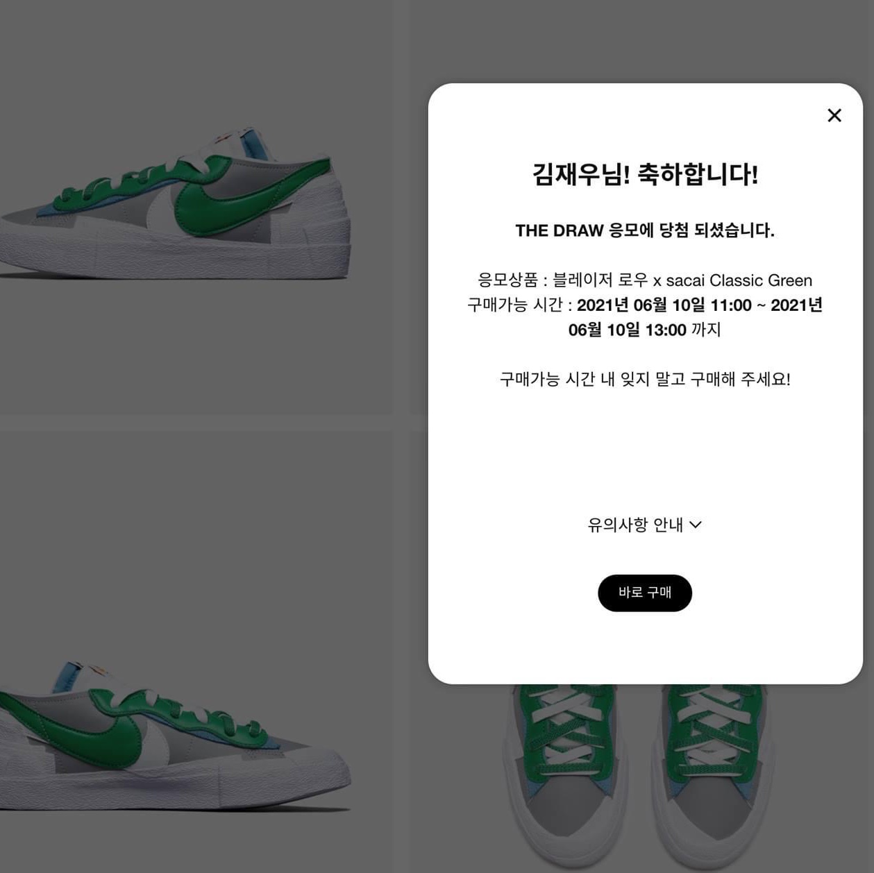 Nike x Sacai Blazer Low Classic Green 착용 스타일