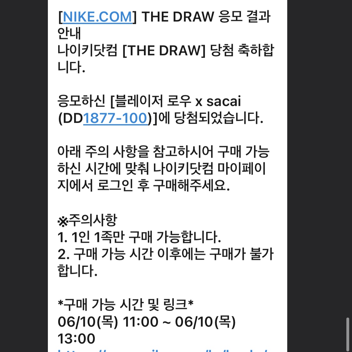 Nike x Sacai Blazer Low Magma Orange 착용 스타일