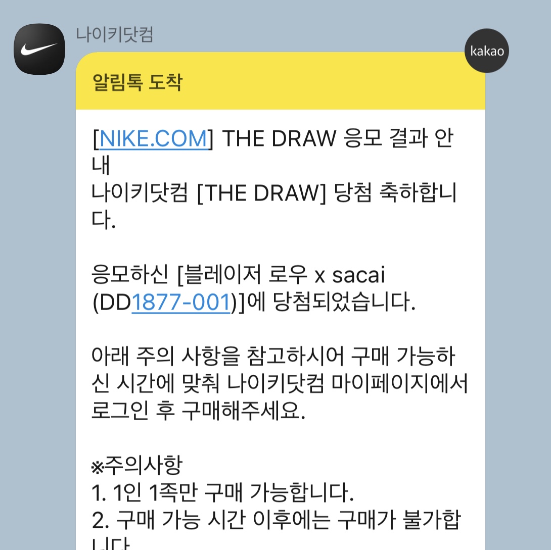 Nike x Sacai Blazer Low Classic Green 착용 스타일