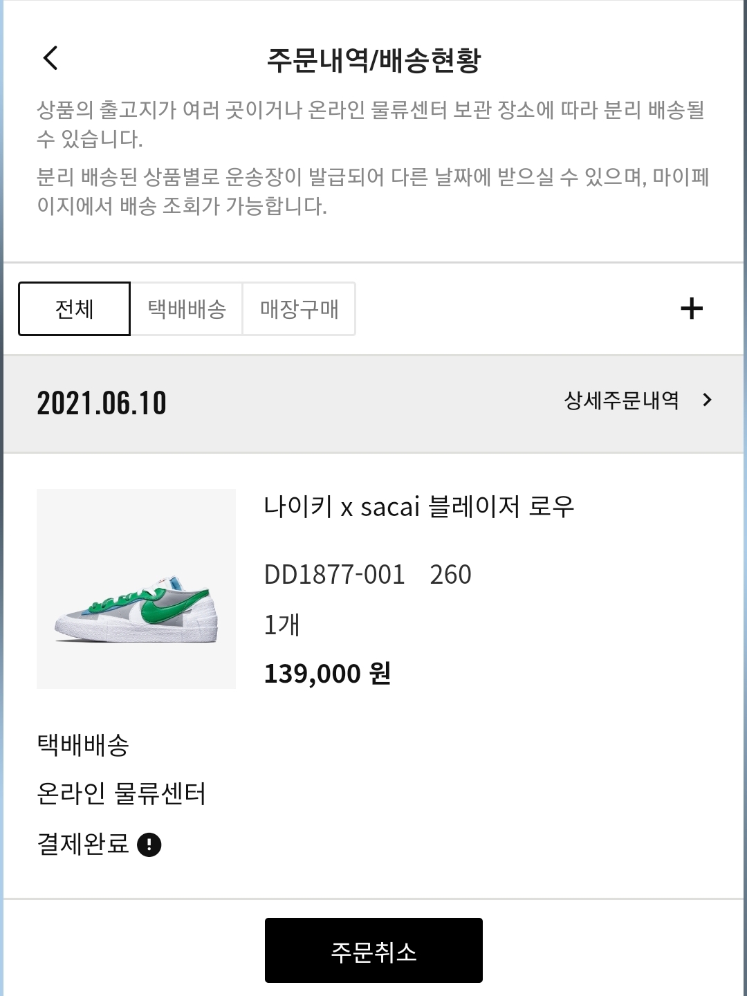 Nike x Sacai Blazer Low Classic Green 착용 스타일 - 2