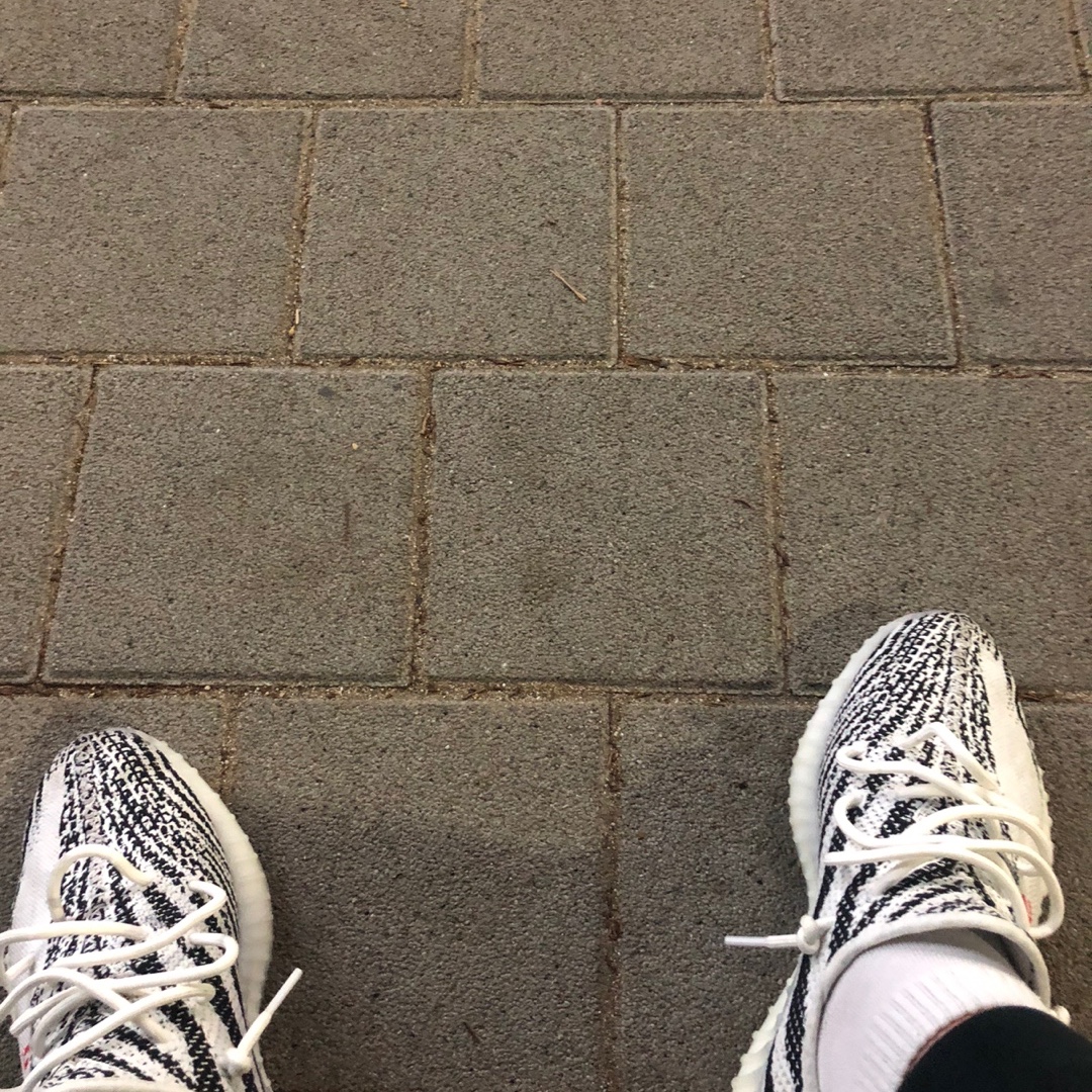 Adidas Yeezy Boost 350 V2 Zebra 2017/2019/2020 착용 스타일