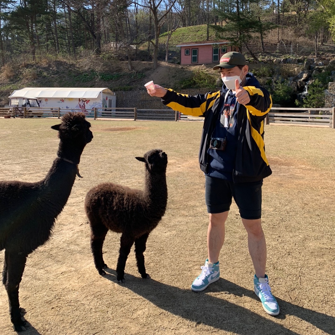 Jordan 1 Retro High OG Turbo Green, Nike x Drake Nocta Essential Track Jacket - US/EU 착용 스타일