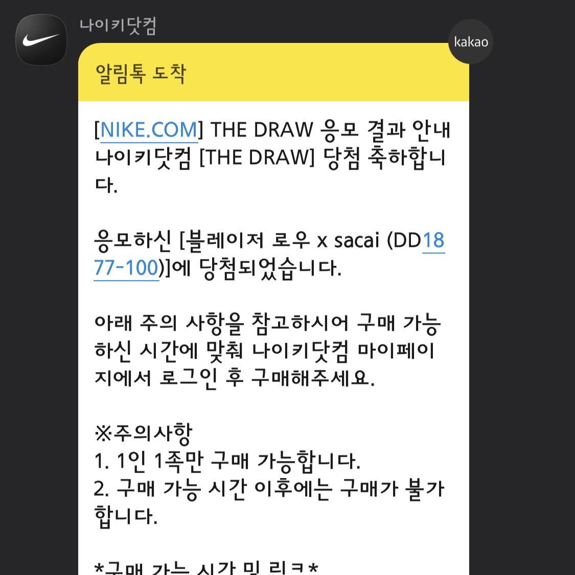 Nike x Sacai Blazer Low Magma Orange 착용 스타일