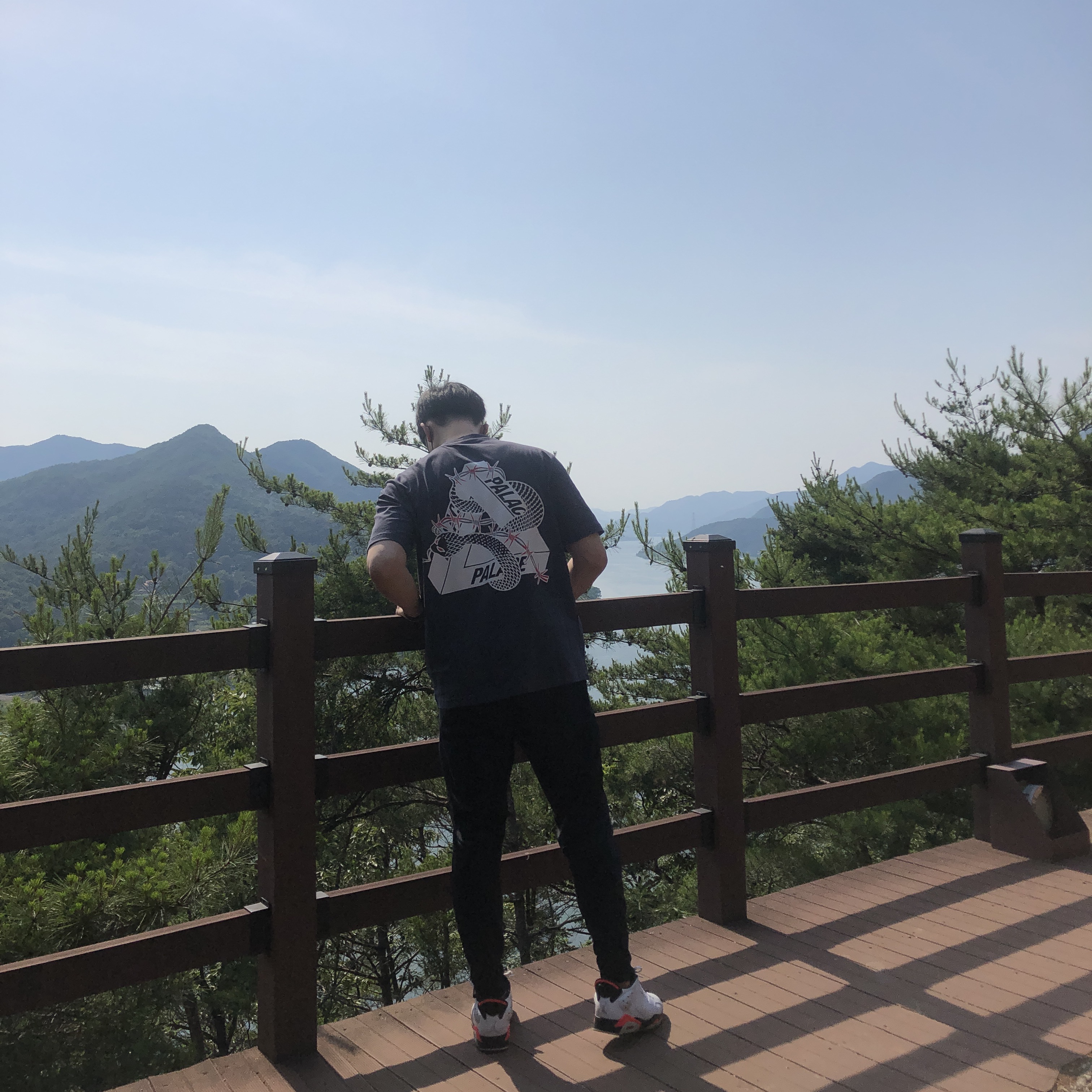 Palace Hesh Mit Fresh T-Shirt Navy - 20SS, Jordan 6 Retro Low Infrared White 착용 스타일