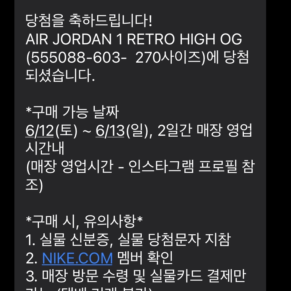 Jordan 1 Retro High OG Light Fusion Red 착용 스타일