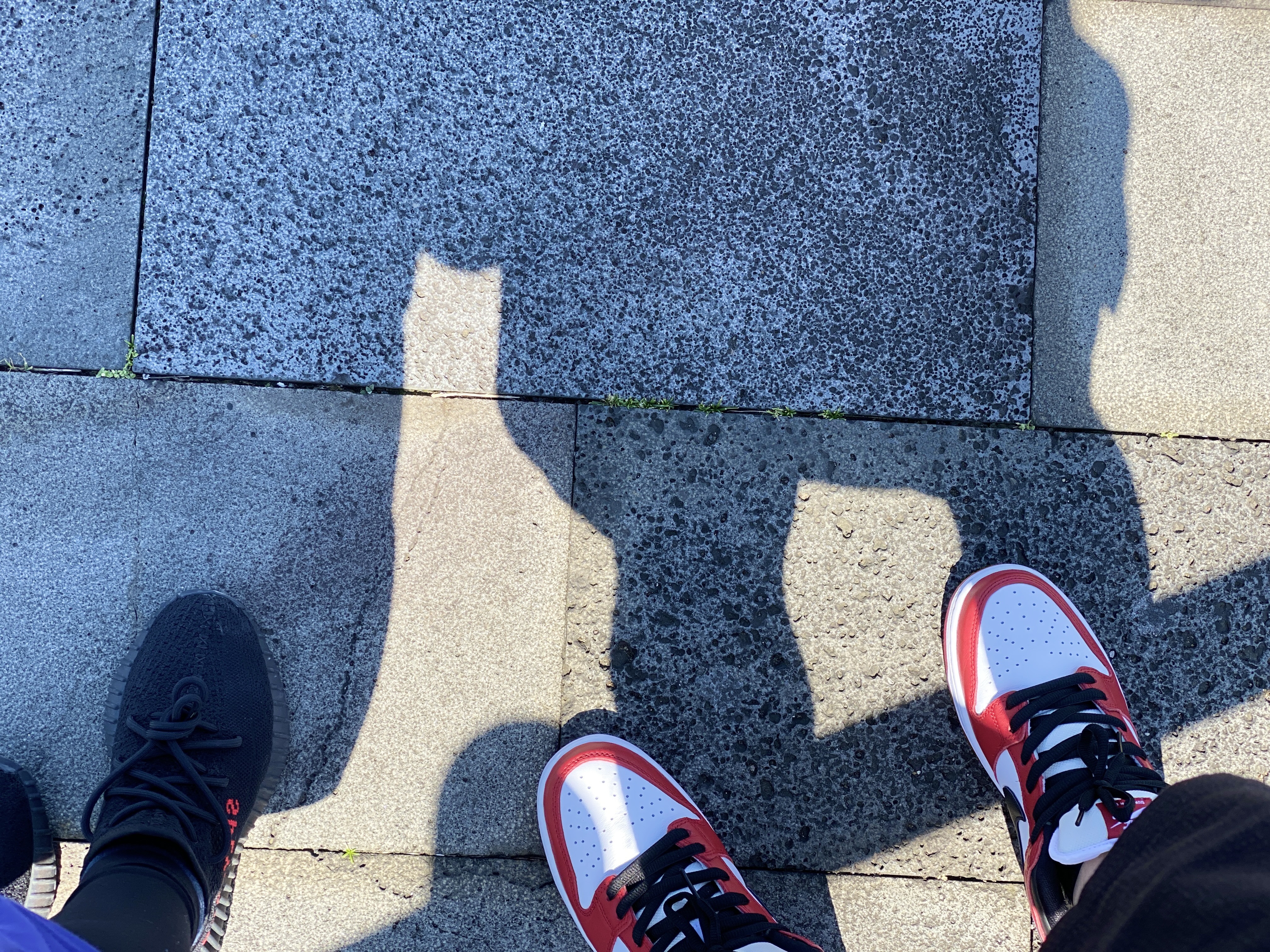 Adidas Yeezy Boost 350 V2 Black Red 2020, Nike SB Dunk Low Pro Chicago 착용 스타일