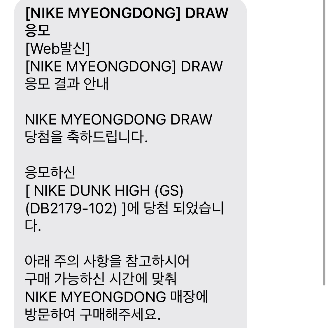 (GS) Nike Dunk High Game Royal 착용 스타일