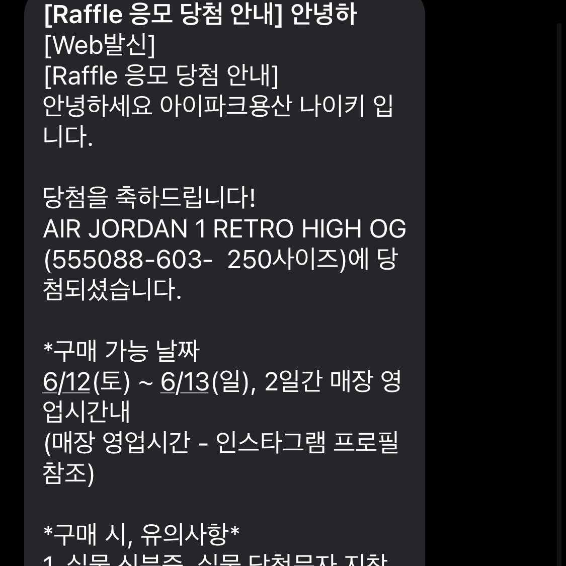 Jordan 1 Retro High OG Light Fusion Red 착용 스타일