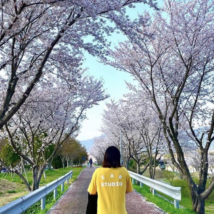 IAB Studio T-Shirt Yellow 착용 스타일