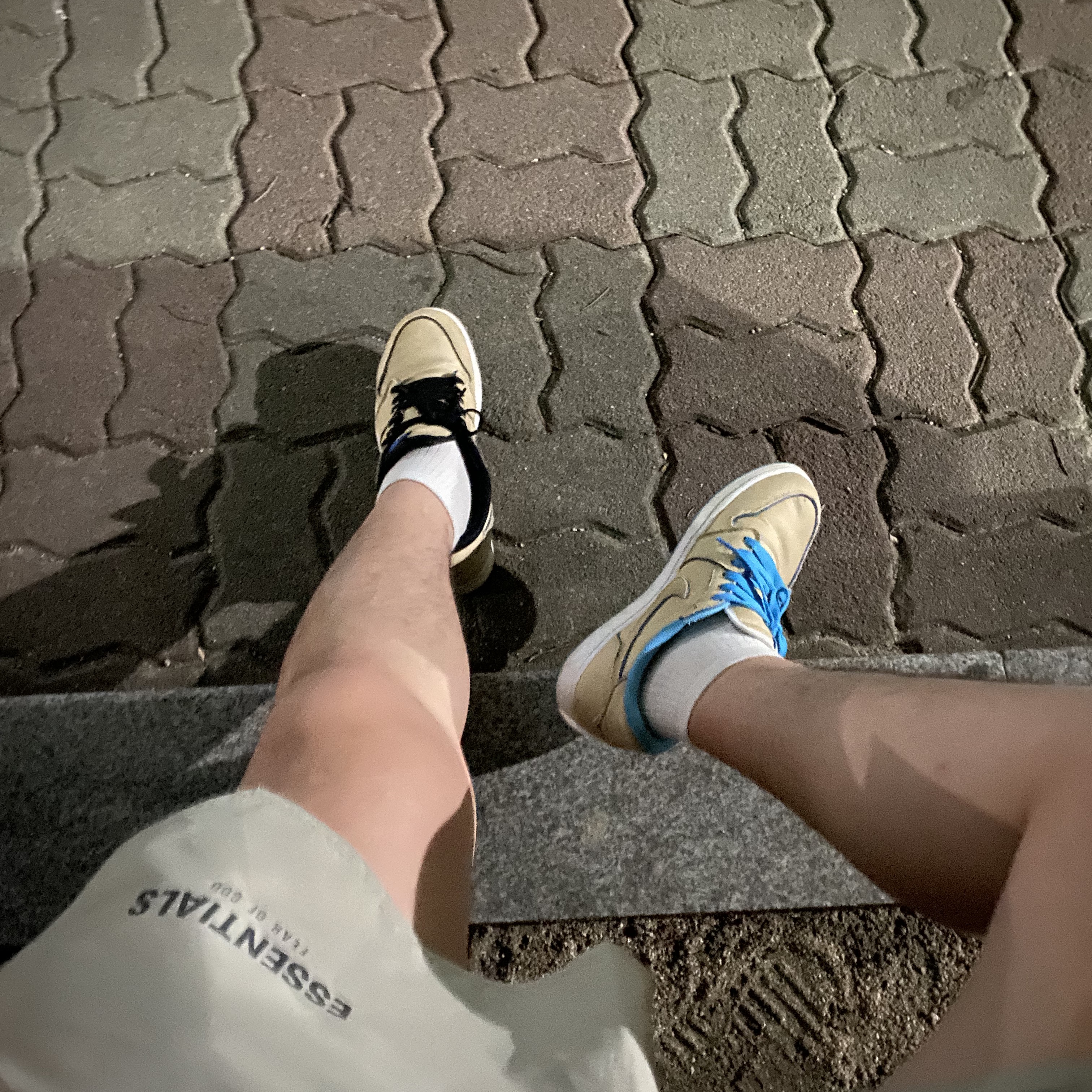 Jordan 1 x Lance Mountain Low SB QS Desert Ore 착용 스타일