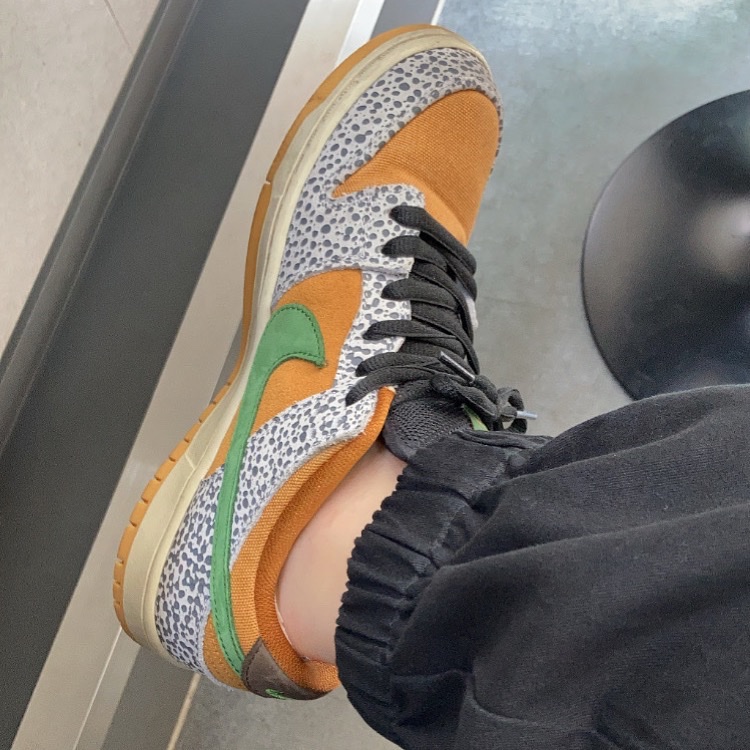 Nike SB Dunk Low Pro Safari 착용 스타일