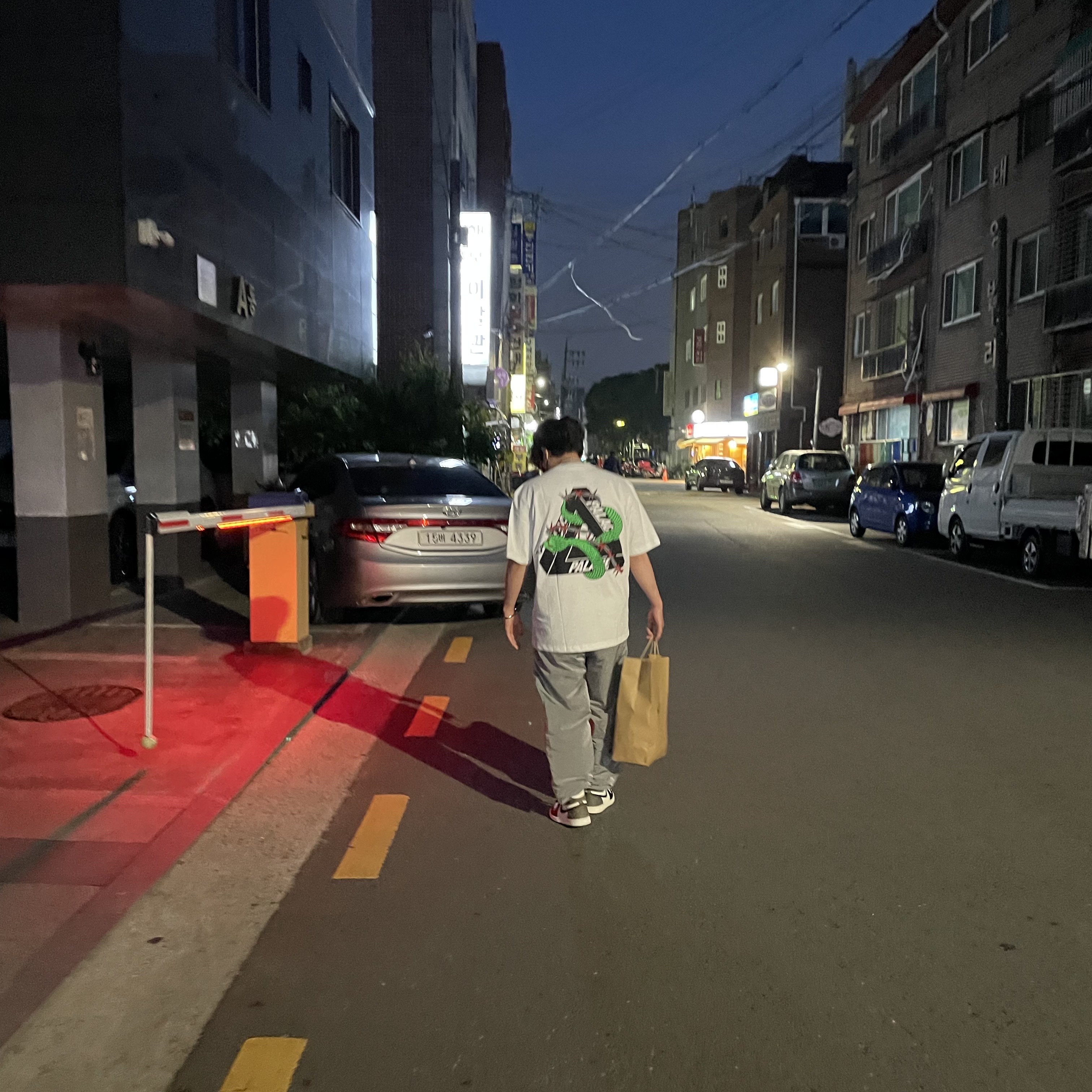 Jordan 1 Retro High OG Black Mocha, Palace Hesh Mit Fresh T-Shirt White - 20SS 착용 스타일