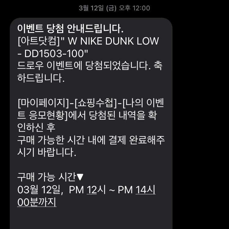 (W) Nike Dunk Low Coast 착용 스타일