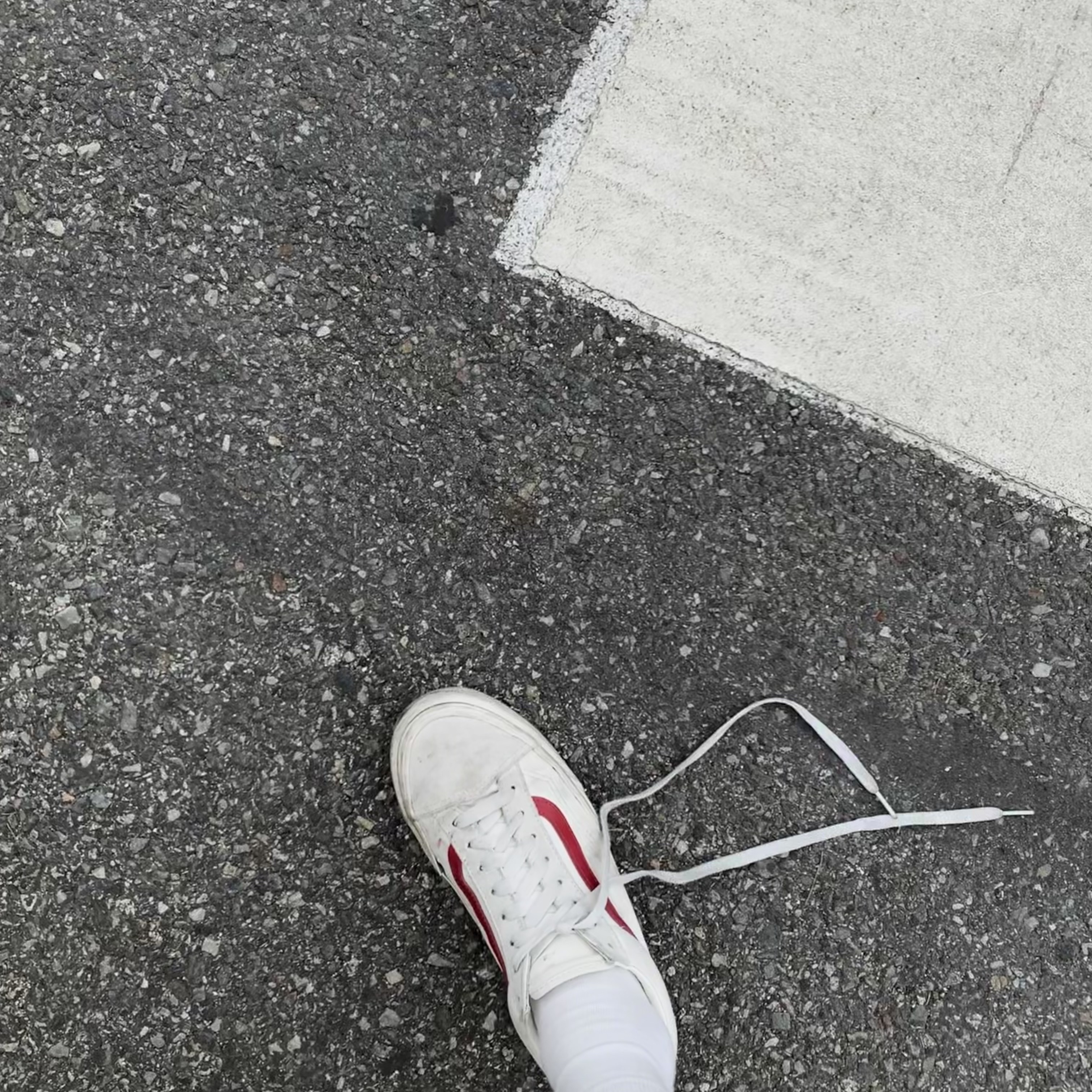 Vans Style 36 Marshmallow Racing Red 착용 스타일