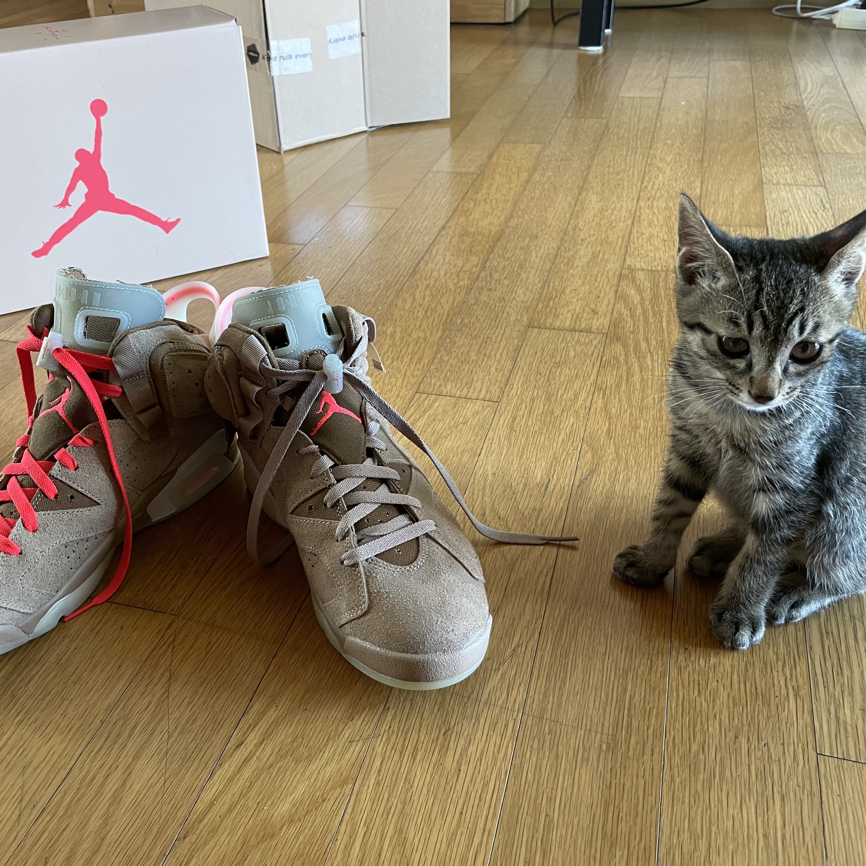 Jordan 6 x Travis Scott Retro SP British Khaki 착용 스타일 - 1