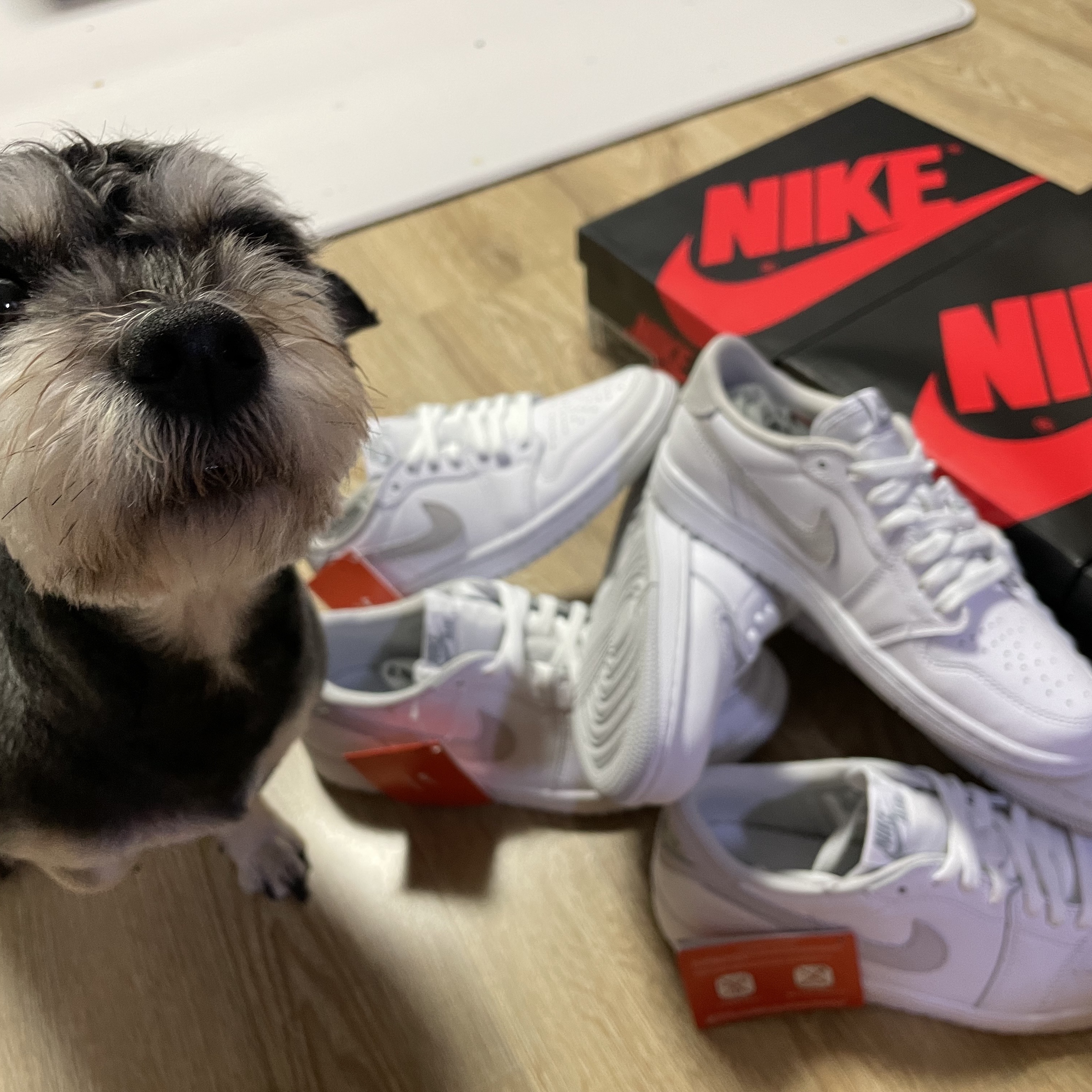 Jordan 1 Low OG Neutral Grey, (W) Jordan 1 Low OG Neutral Grey 착용 스타일 - 2
