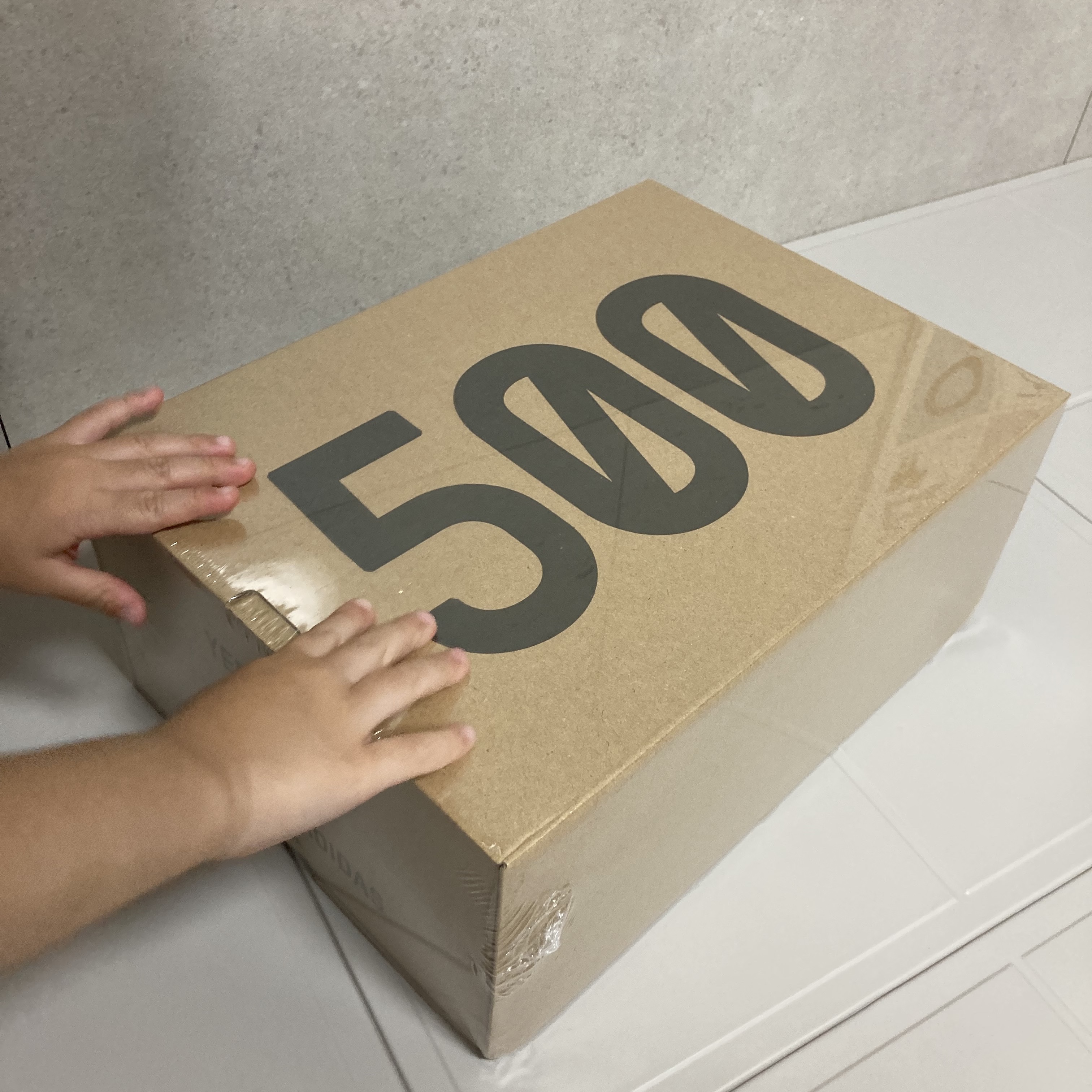 Adidas Yeezy 500 Taupe Light 착용 스타일 - 2