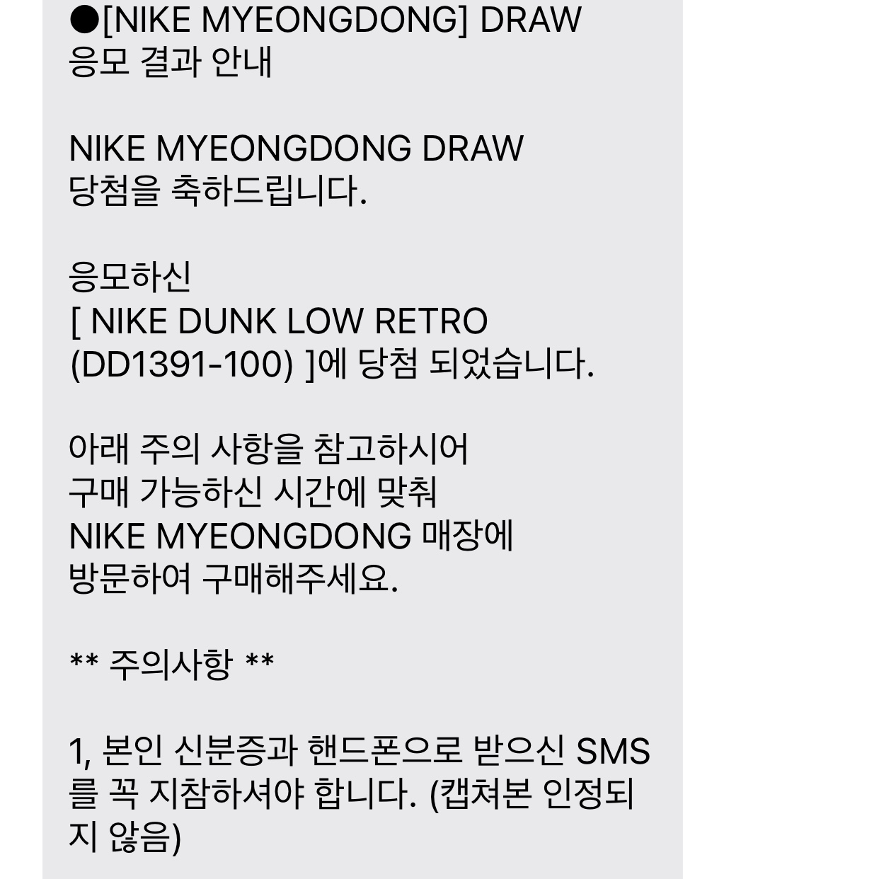 Nike Dunk Low Retro Black 착용 스타일