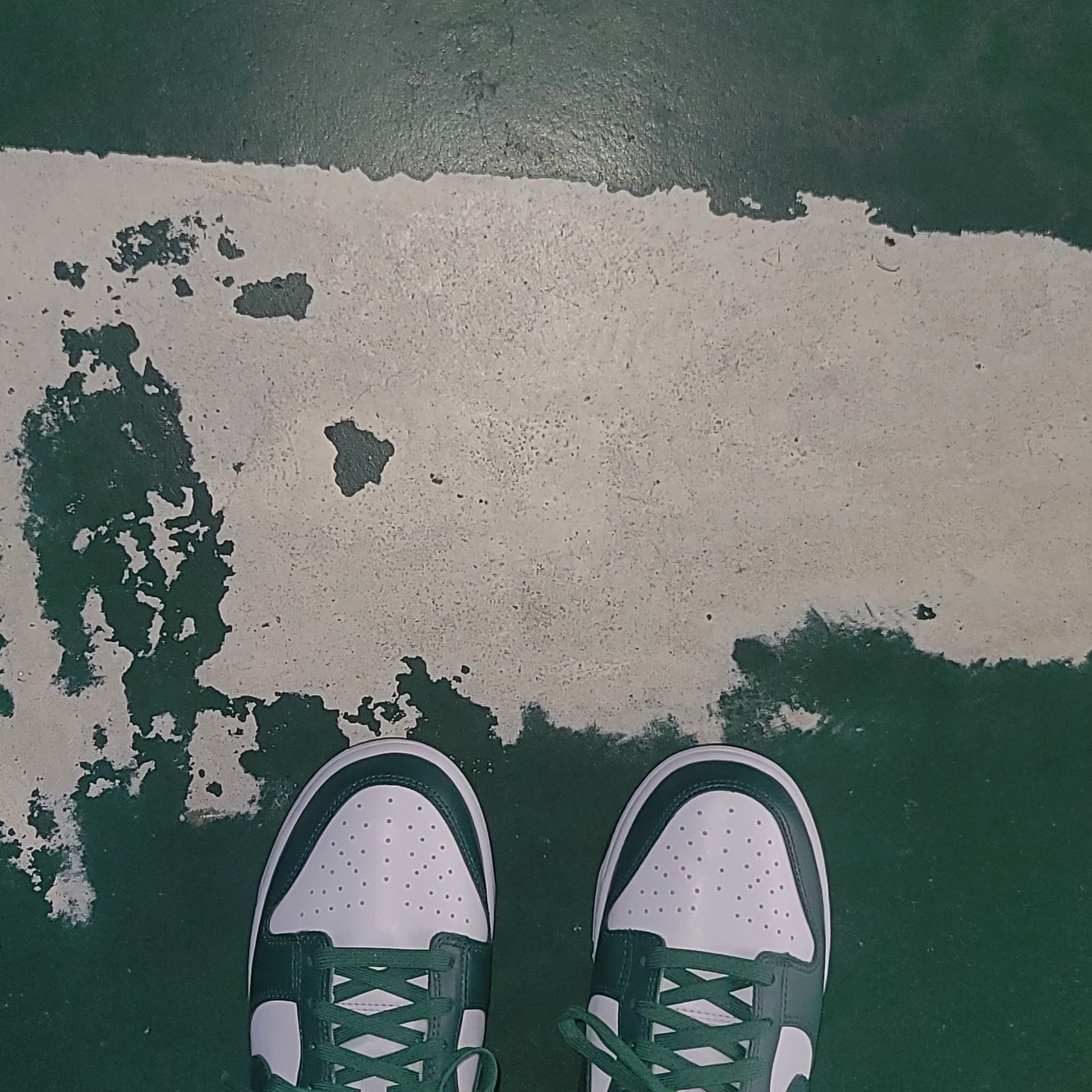 Nike Dunk Low Retro Varsity Green 착용 스타일