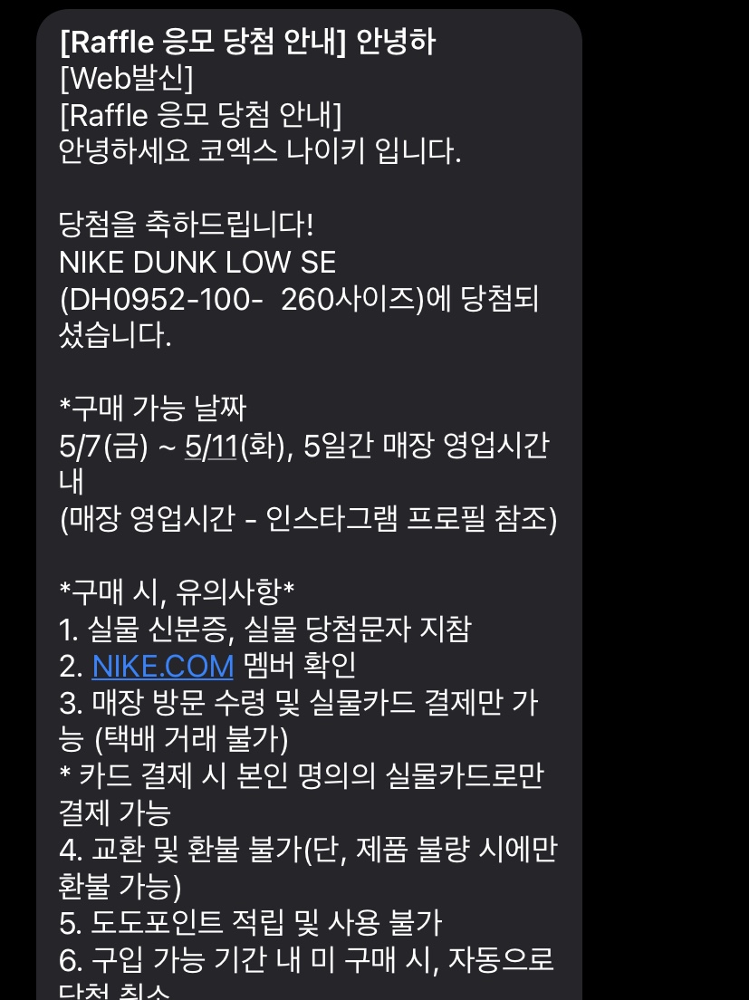 Nike Dunk Low SE Free.99 White 착용 스타일 - 4