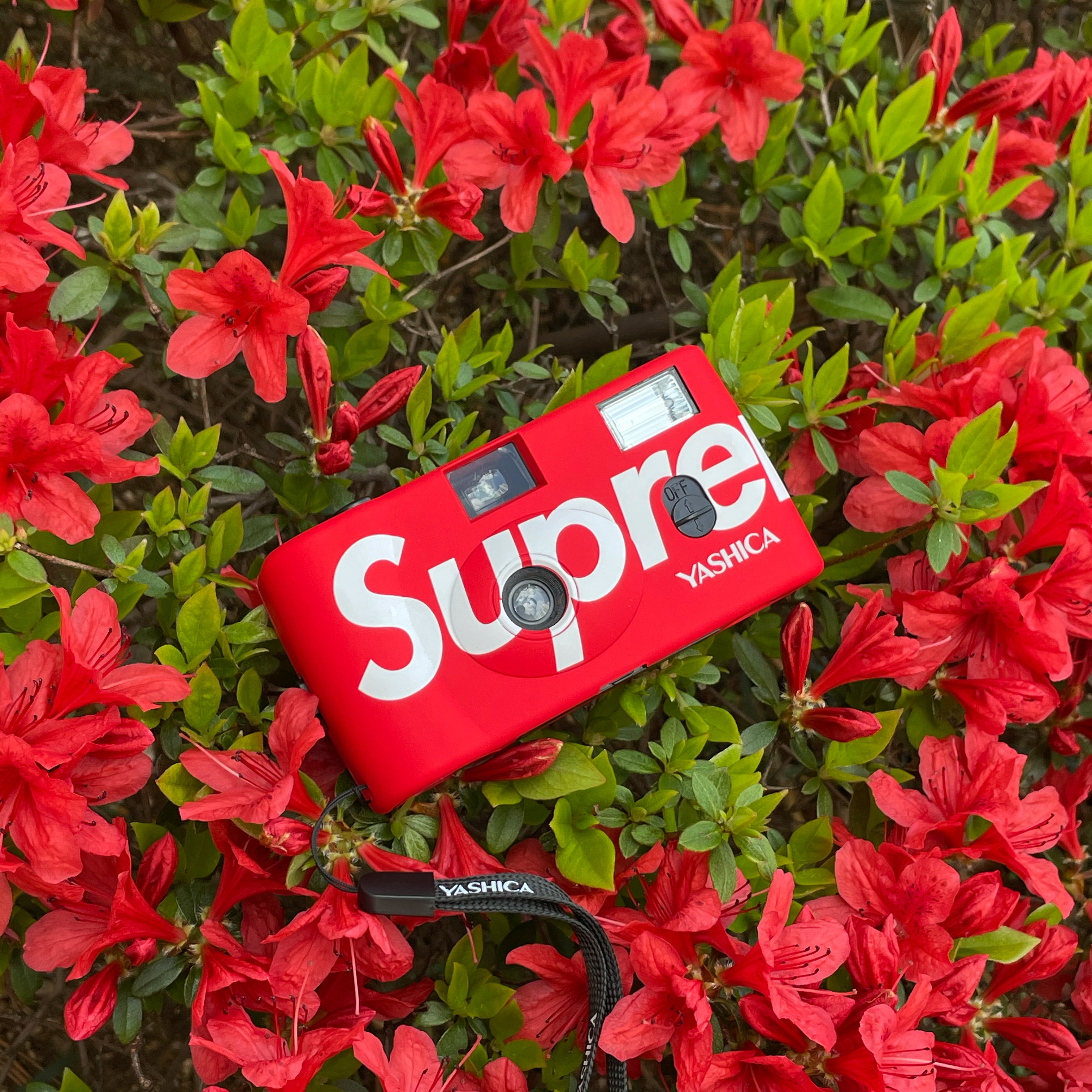 Supreme Yashica MF-1 Camera Red - 21SS 착용 스타일