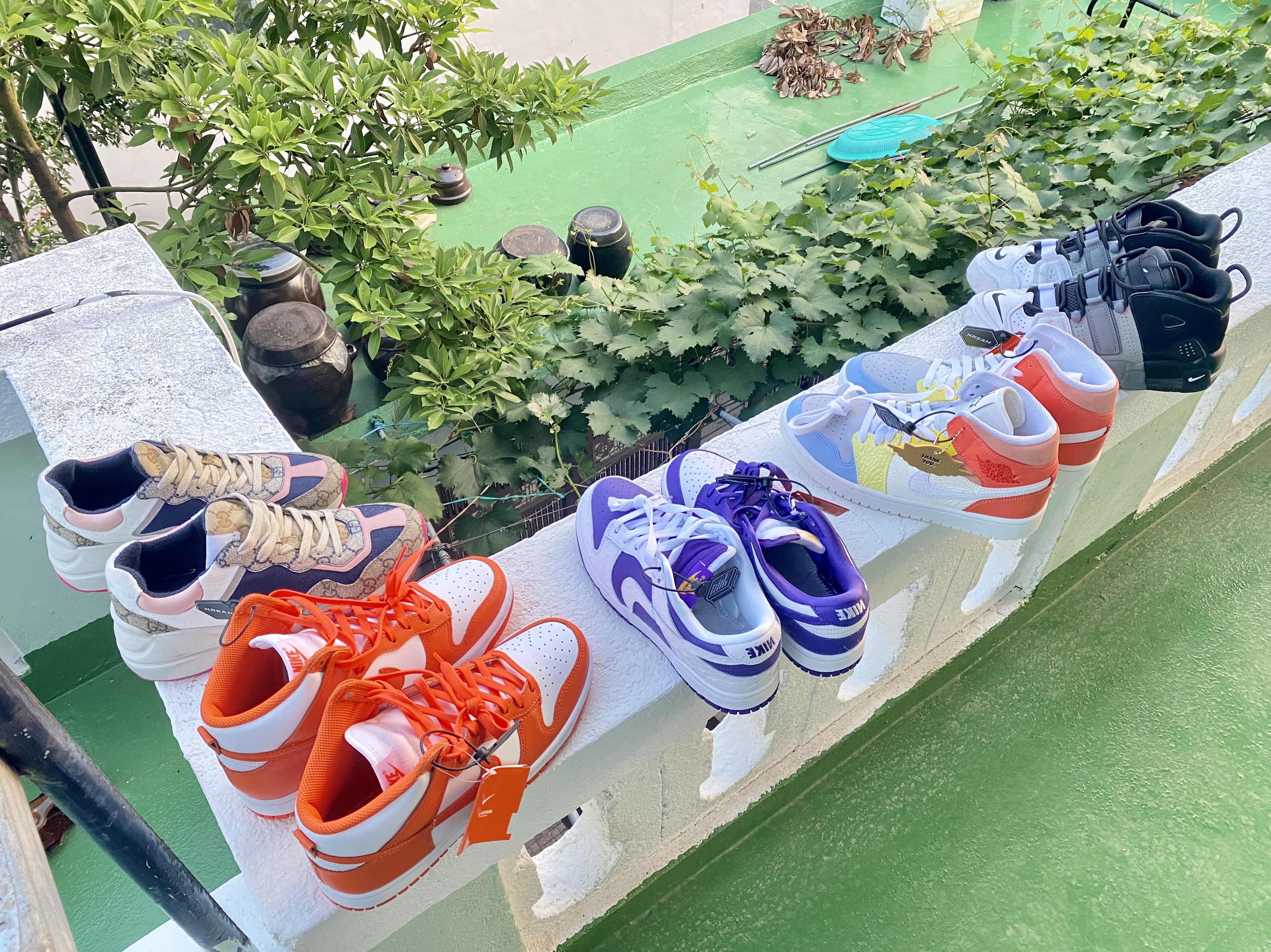 Nike Dunk High Retro Orange Blaze, (W) Jordan 1 Mid To My First Coach 착용 스타일