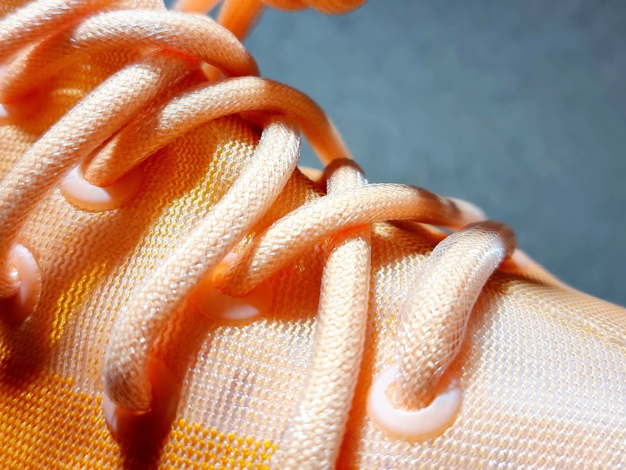 Adidas Yeezy Boost 350 V2 Mono Clay 착용 스타일 - 3