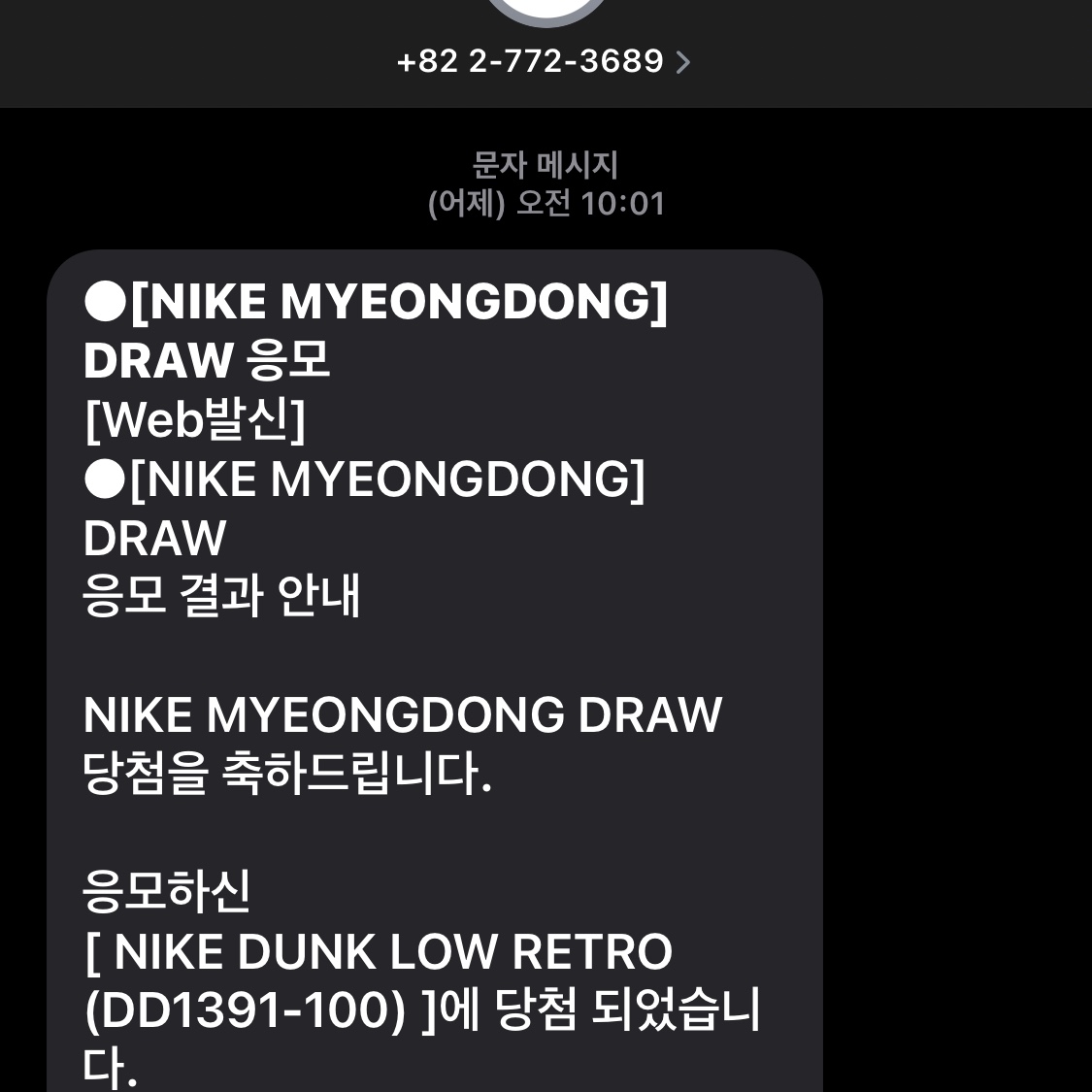 Nike Dunk Low Retro Black 착용 스타일