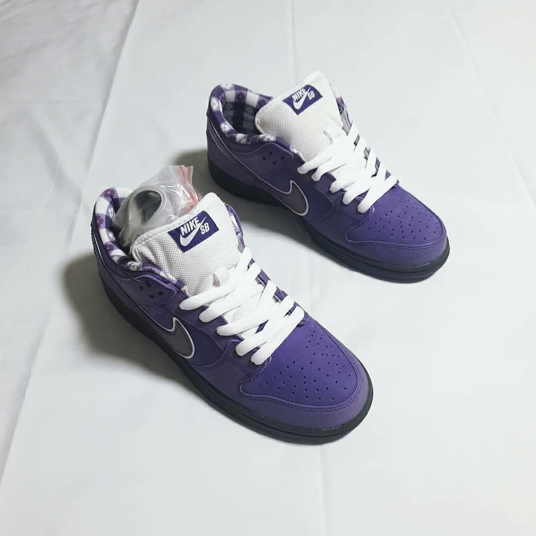 Nike x Concepts SB Dunk Low Purple Lobster (Special Box), Nike x Concepts SB Dunk Low Purple Lobster (Regular Box) 착용 스타일 - 2