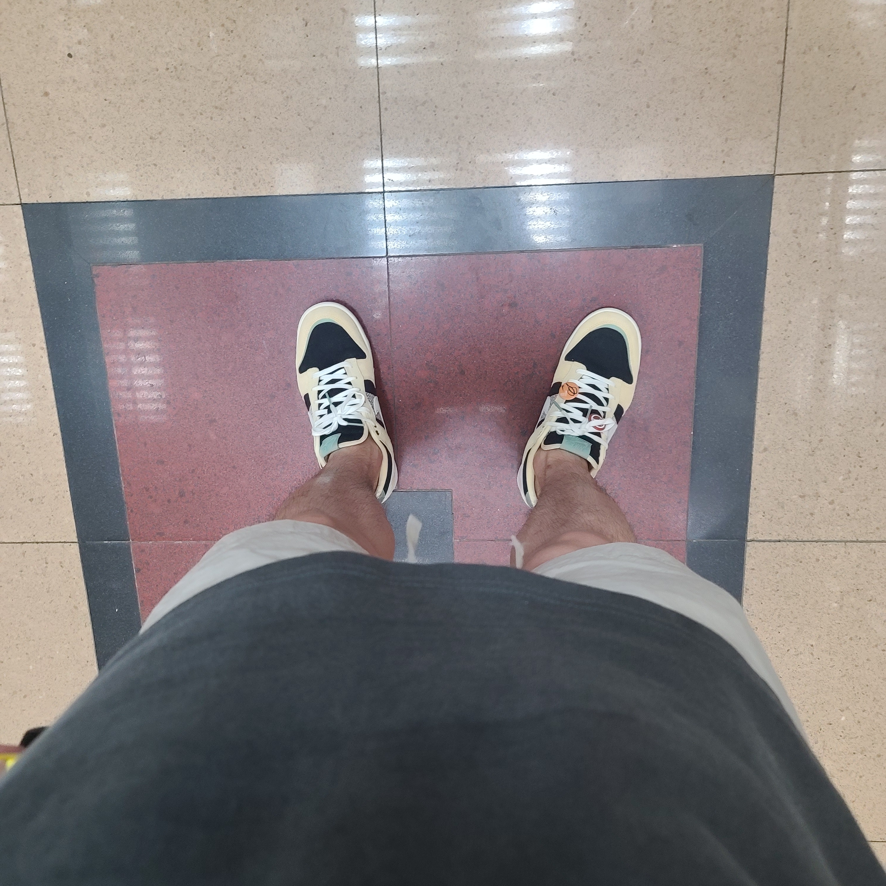 Nike Dunk Low Rooted In Peace 착용 스타일 - 3
