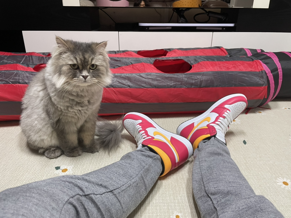 KREAM 프로필 이미지