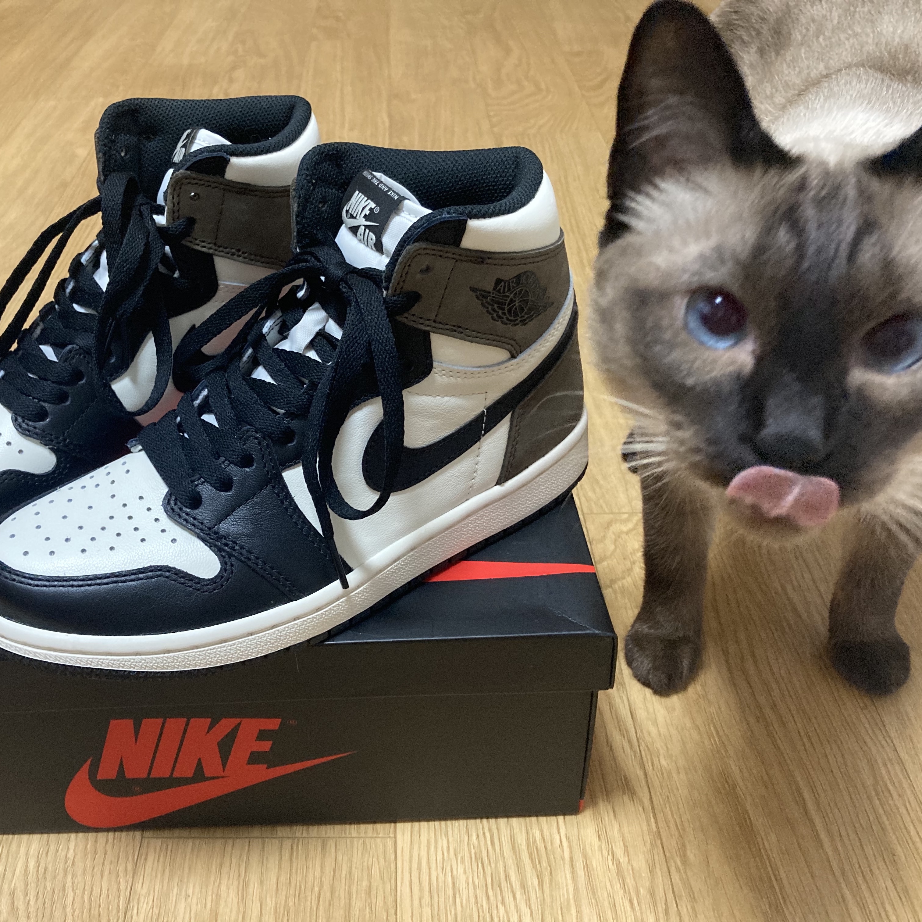 Jordan 1 Retro High OG Black Mocha 착용 스타일