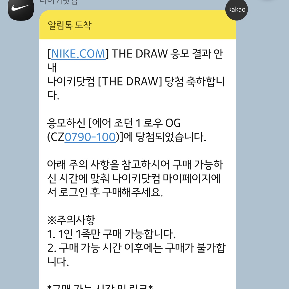 Jordan 1 Low OG Neutral Grey 착용 스타일 - 4