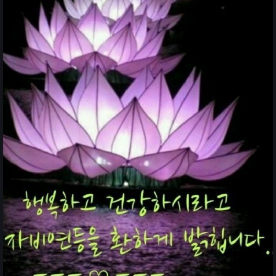 alsrbtkachs님의 스타일