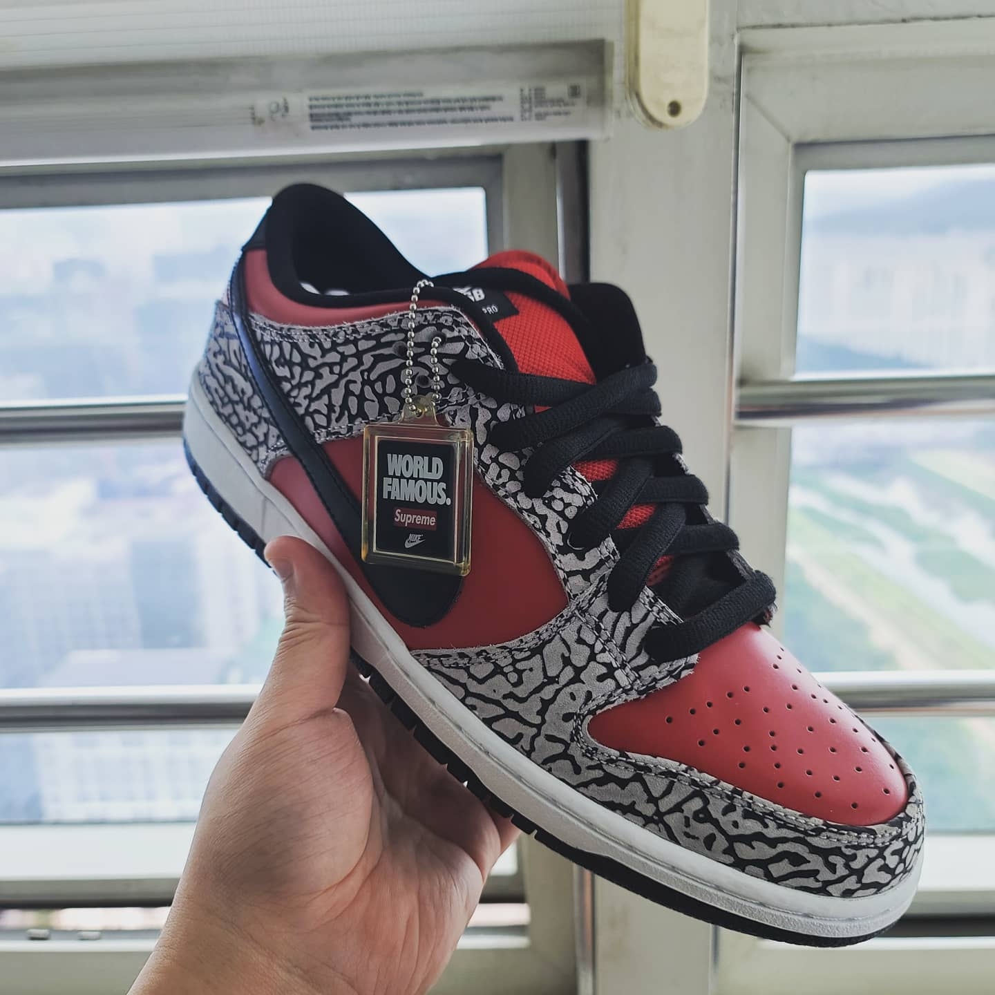 Nike x Supreme SB Dunk Low Red Cement 2012, Nike SB Dunk Low Pro Chicago 착용 스타일 - 2