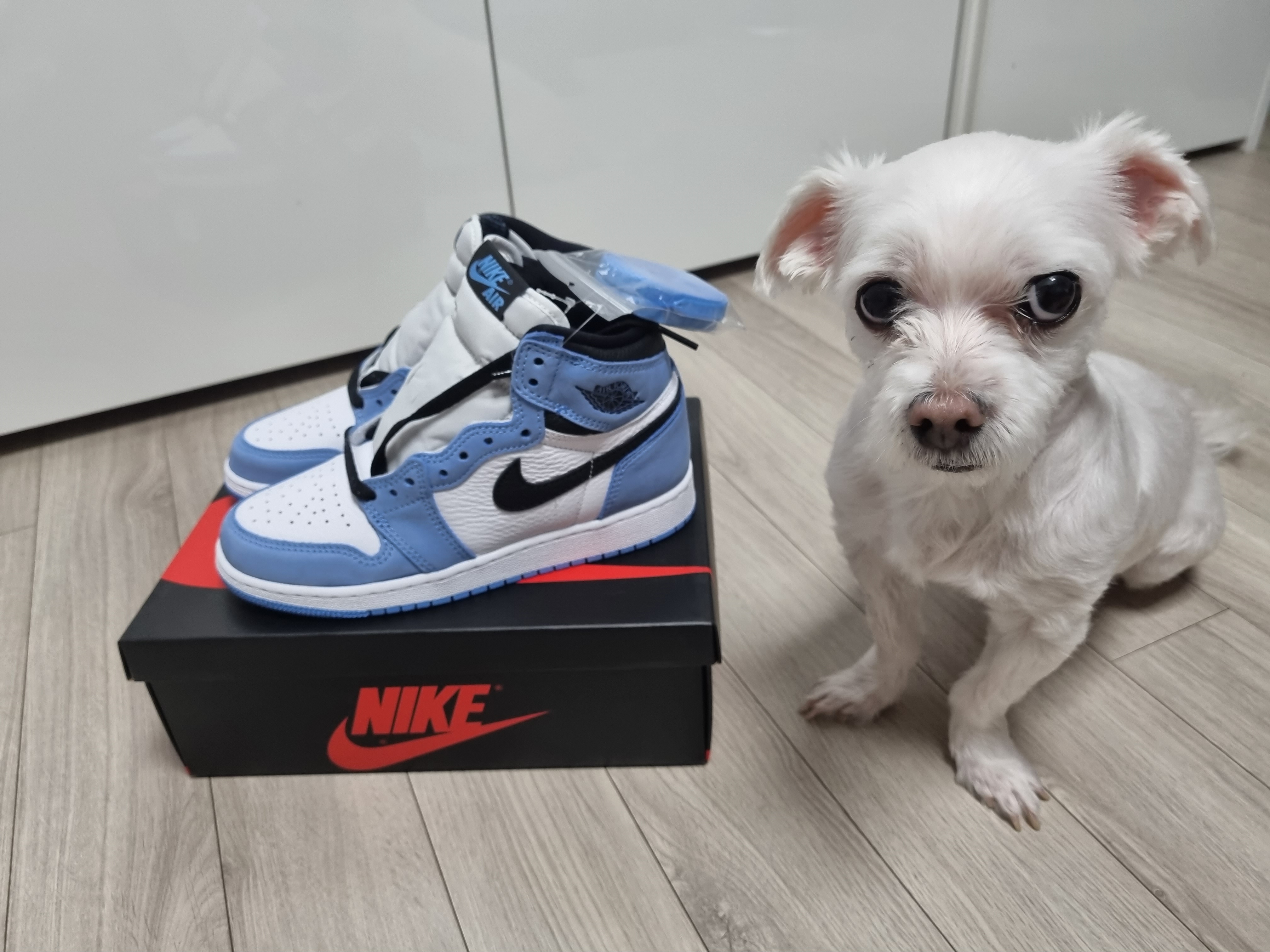 (GS) Jordan 1 Retro High OG University Blue 착용 스타일