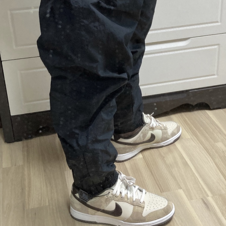 Nike Dunk Low Retro PRM Cheetah, Nike M NRG Solo Swoosh Track Pants Black - Asia 착용 스타일
